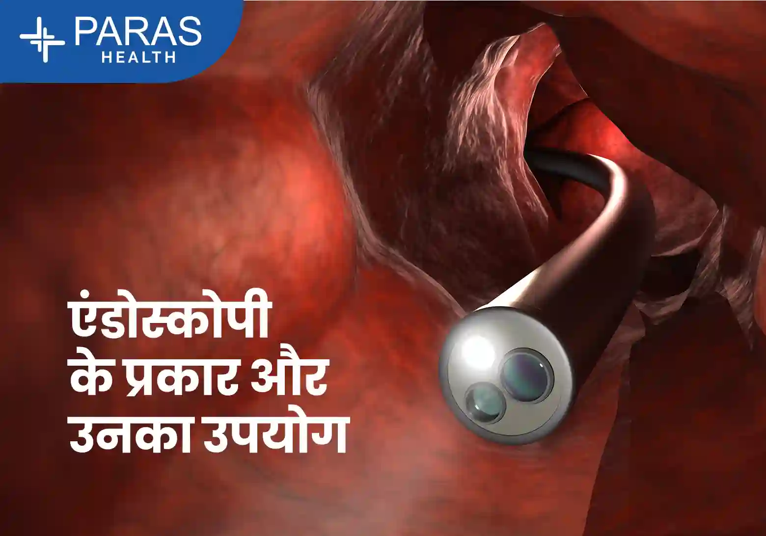 एंडोस्कोपी क्या है? एंडोस्कोपी के प्रकार, प्रक्रिया, उपयोग और फायदे